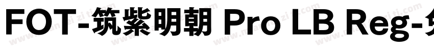 FOT-筑紫明朝 Pro LB Reg字体转换